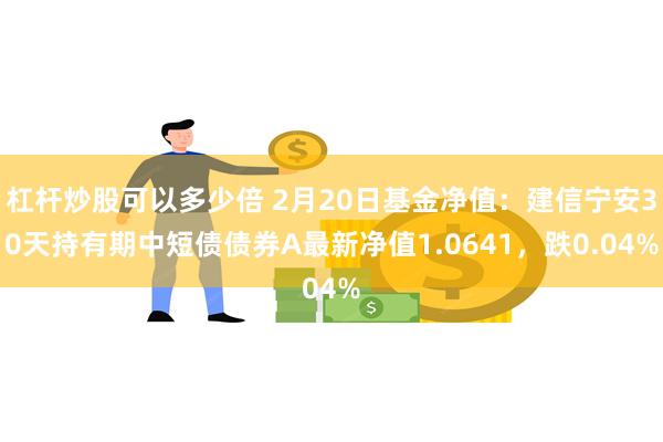杠杆炒股可以多少倍 2月20日基金净值：建信宁安30天持有期中短债债券A最新净值1.0641，跌0.04%