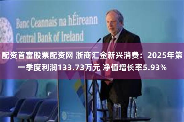 配资首富股票配资网 浙商汇金新兴消费：2025年第一季度利润133.73万元 净值增长率5.93%