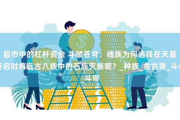 股市中的杠杆资金 斗破苍穹：魂族为何选择在天墓开启时将远古八族中的石族灭族呢？_种族_舍古帝_斗帝