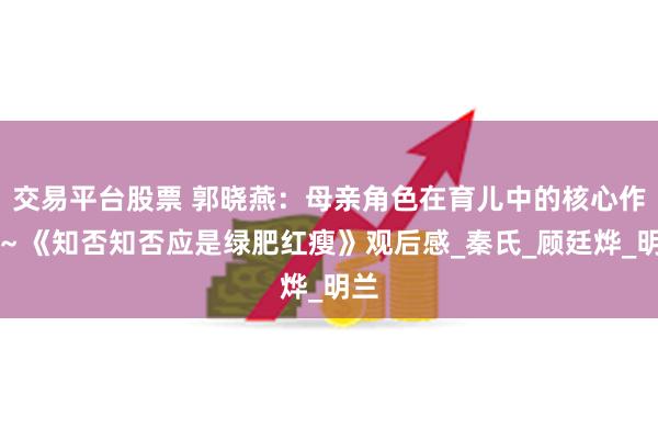交易平台股票 郭晓燕：母亲角色在育儿中的核心作用～《知否知否应是绿肥红瘦》观后感_秦氏_顾廷烨_明兰