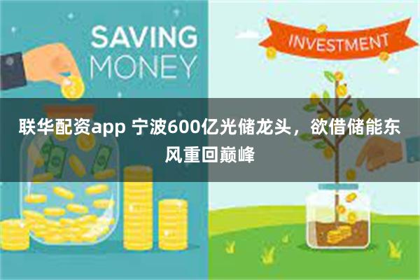 联华配资app 宁波600亿光储龙头，欲借储能东风重回巅峰