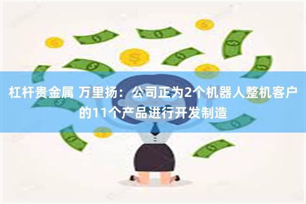 杠杆贵金属 万里扬:公司正为2个机器人整机客户的11个产品进行开发制造